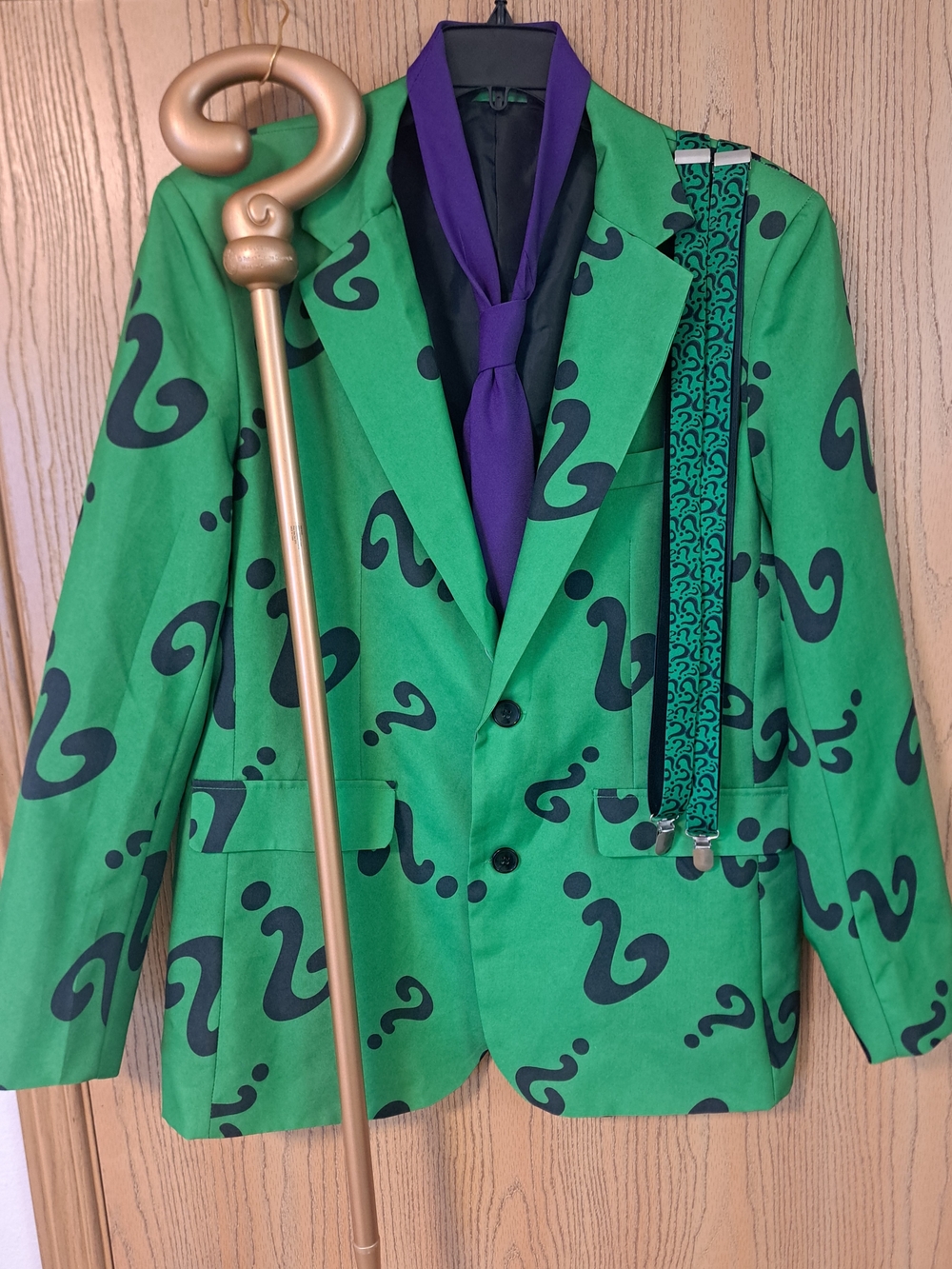 Green Suitmeister Men's Batman The Riddler Halloween Suit